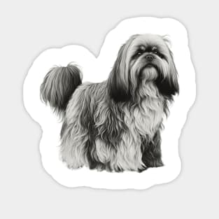 Lhasa apso Sticker